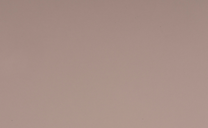 ROSA BOURBON - 0275