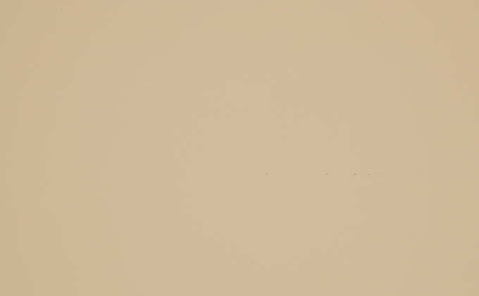 BEIGE ISABELLA - 0536