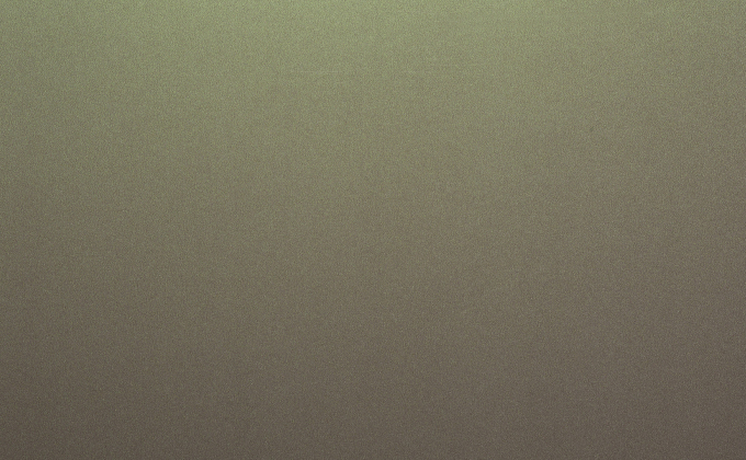 BROWN SHOT - 2633