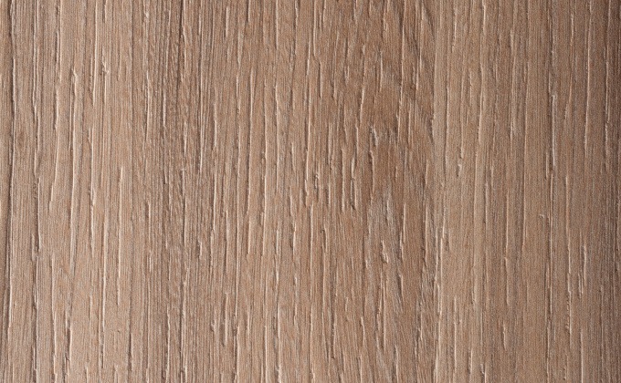 OLMO MERCURIO - 4539
