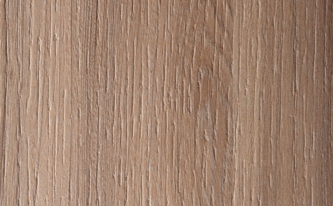 OLMO MERCURIO - 4539